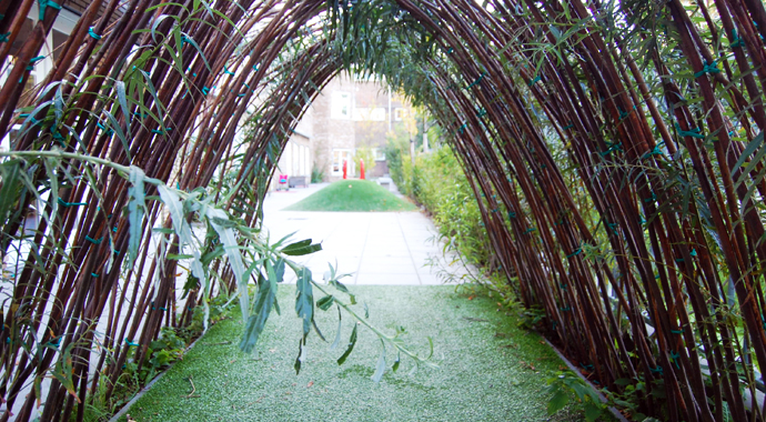 David Dak Bresterstraat BSO