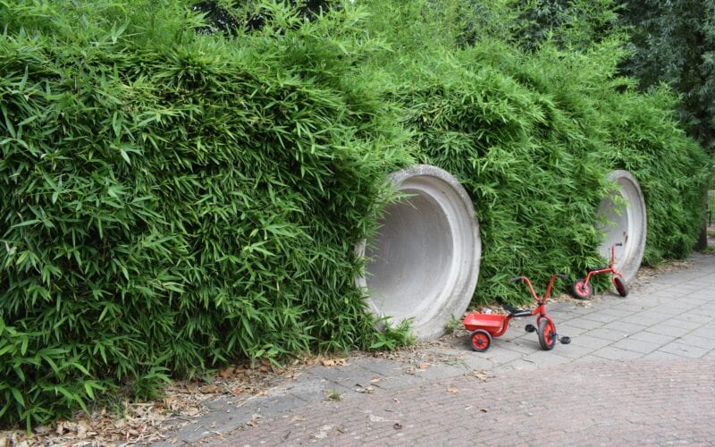 femke_dak_monseigneur_bekkerslaan_bso//