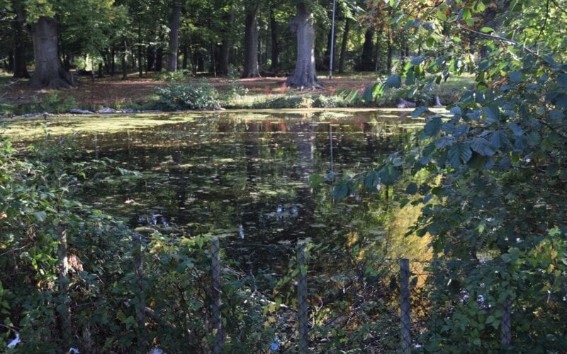 david_dak-julialaantje_bso/