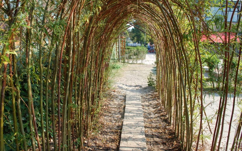 eva_dak_spinozalaan_peuteropvang/