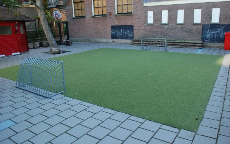 frank_dak_schelpkade_bso/