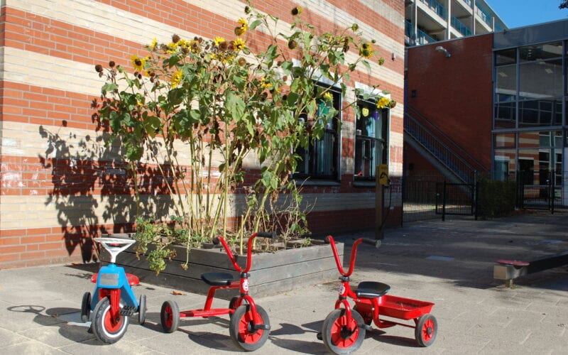 koen_dak_linnaeusstraat_kinderdagverblijf/